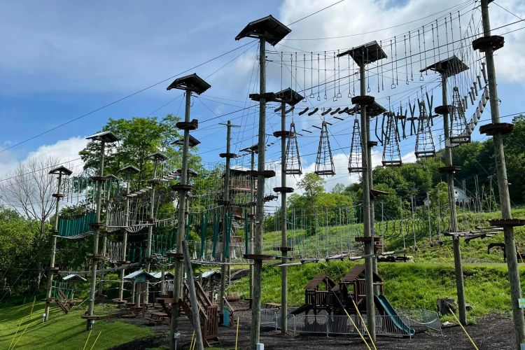 monkey business adventure park